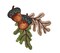 Two Acorns - Brown and Green Leaves Embroidered, Iron on Patch